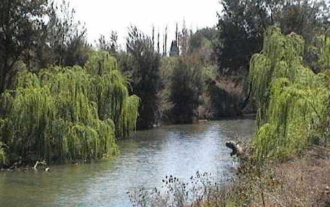 Colonial Inn Motel - Holiday Find 3