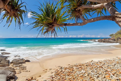 Coolum Classic Beach Shack - Pet Friendly - Holiday Find 0