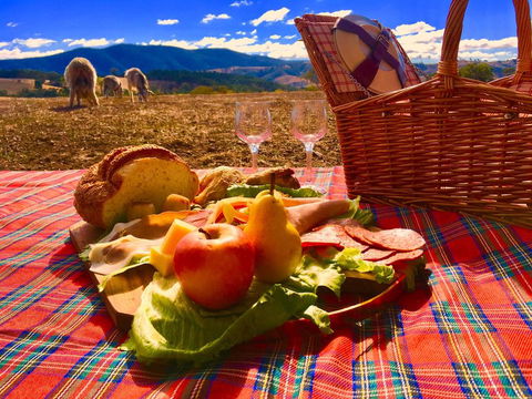 Country Budget - Holiday Find 3