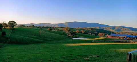 Country Budget - Holiday Find 1