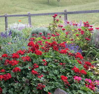 Country Mile Escape - Holiday Find