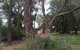 Country Retreat On 1 Acre With Pool, Hot Tub Surrounded By Trees - thumb 0