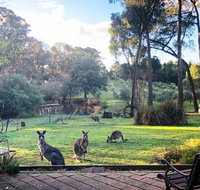 Countryside Retreat Spa Cottage Hepburn - Daylesford - Holiday Find