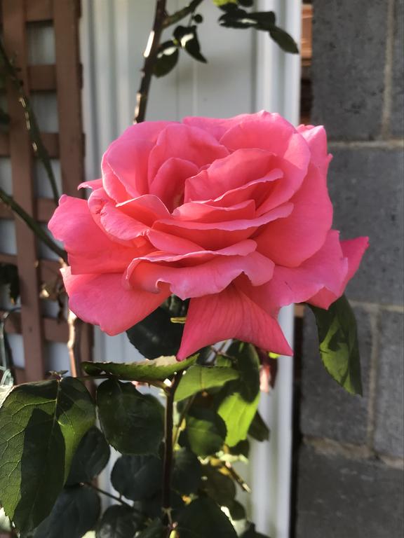 Mulgrave VIC Holiday Find