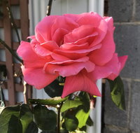 Cozy Luxury Suit With Separate Entrance - Holiday Find