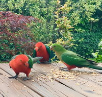 Crimson Villa - Holiday Find