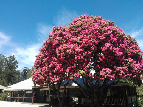 Crossways Country Inn - Holiday Find 0