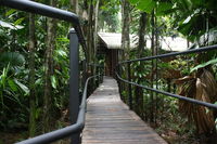 Daintree Wilderness Lodge