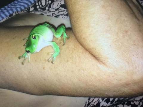 De Shed Shannonvale - Holiday Find 1