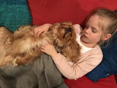 Dingup House - Holiday Find 2