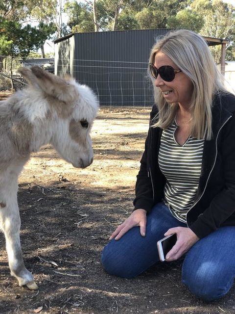 Donkey Tales Farm Cottages - Holiday Find 1