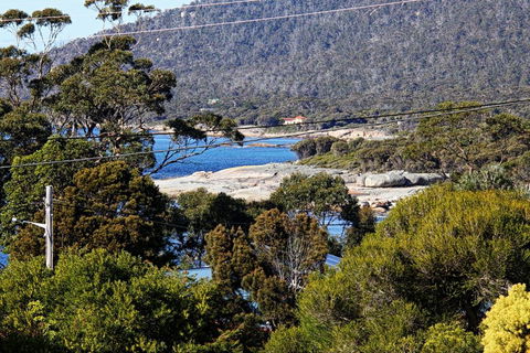 Douglas Street - Holiday Find 1