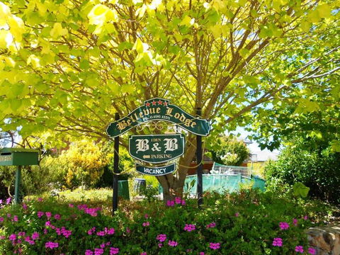 Eden Bed & Breakfast - Holiday Find 0