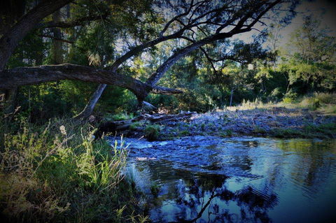 Eighteen Mile Cottage - Holiday Find 1