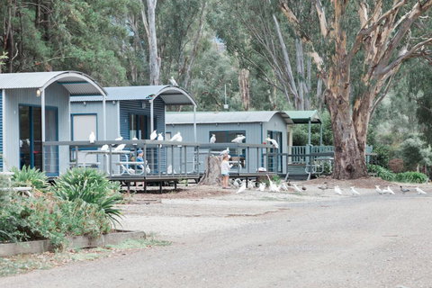 Eildon Pondage Holiday Park - Holiday Find 3