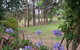 Elfin Hill Vineyard Accommodation - thumb 2