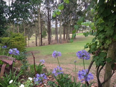 Elfin Hill Vineyard Accommodation - Holiday Find 2