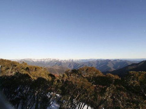 Elkhorn 7 - Holiday Find 0