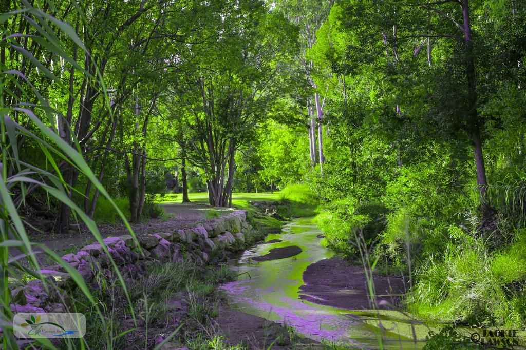 Glen Esk QLD Holiday Find