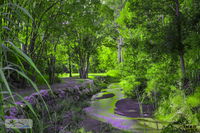 Book Esk Accommodation Vacations Holiday Find Holiday Find