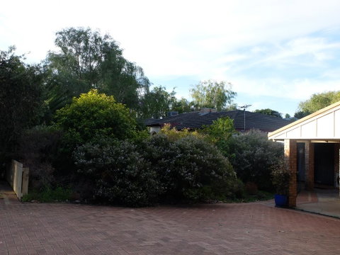 Esperance Seafront Holiday Units - Holiday Find 3