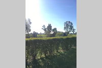 Book Benalla Accommodation Vacations Holiday Find Holiday Find