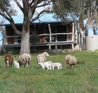 Gaddleen Grove Cottages - Holiday Find