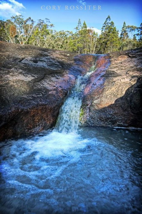 Girraween Environmental Lodge - Holiday Find 3