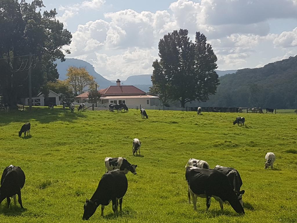 Mount Murray NSW Holiday Find