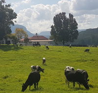 Glenmurray - Country farm stay - Holiday Find
