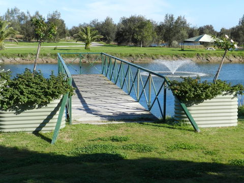 Golden Ponds - Holiday Find 0