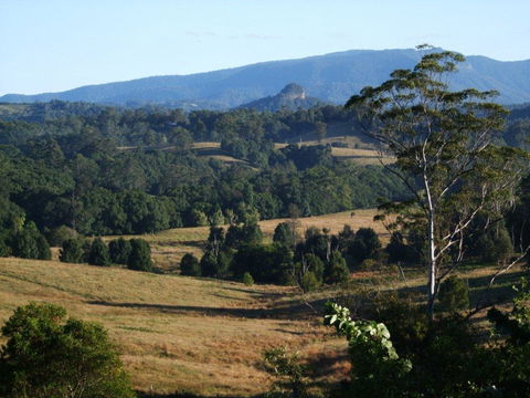 Grey Gum Lodge - Holiday Find 0