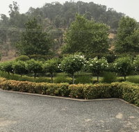 Guinevere - Holiday Find