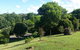 Gumtree House Montville - thumb 3
