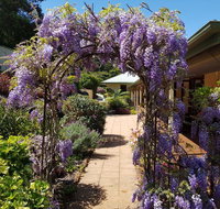 Gumtree House Montville - Holiday Find