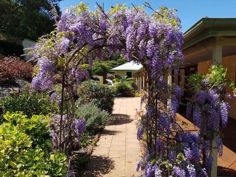 Gumtree House Montville - Holiday Find 0