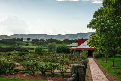 Hanging Tree Wines - Holiday Find 0