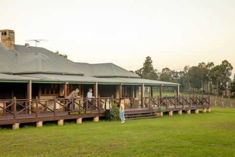 Hanging Tree Wines - Holiday Find 1