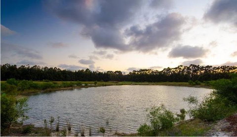 Hartzell One Seven - Holiday Find 2