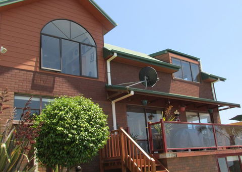 High On Penguin - Holiday Find 3