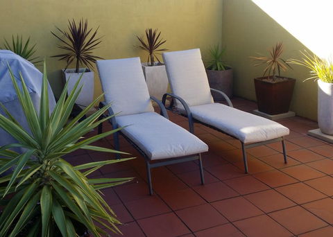 High On Penguin - Holiday Find 1