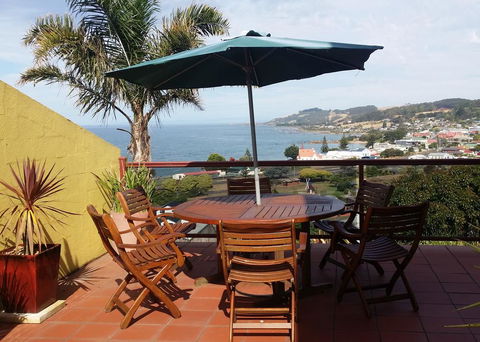 High On Penguin - Holiday Find 0