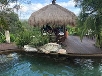 Hinterland Hideaway