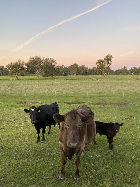 Holly House BnB - Holiday Find 1