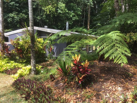 Honeybee House - Holiday Find 0