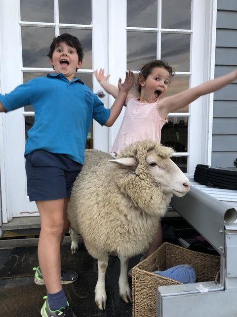 Jackaleah Farm Stay - Holiday Find 2