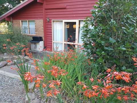 Jamieson Valley Retreat - Holiday Find 0