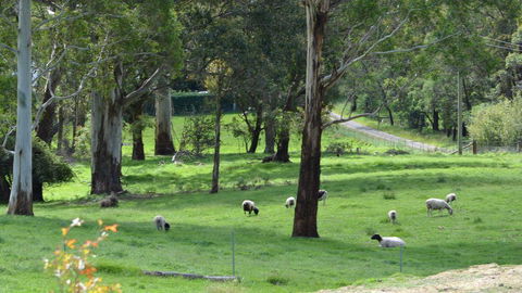JAN'S ART STUDIO AT ASHBY RISE - Holiday Find 0