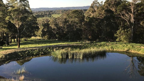 JAN'S ART STUDIO AT ASHBY RISE - Holiday Find 1