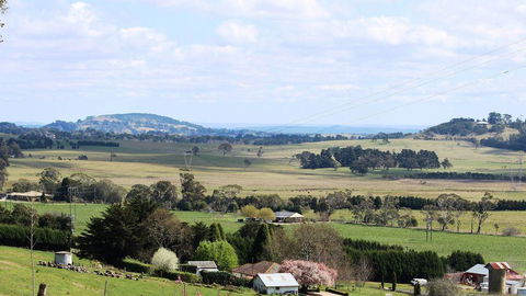 JAN'S ART STUDIO AT ASHBY RISE - Holiday Find 2
